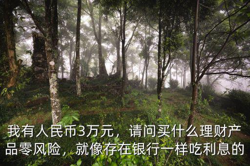 我有人民幣3萬元，請問買什么理財產(chǎn)品零風(fēng)險，就像存在銀行一樣吃利息的
