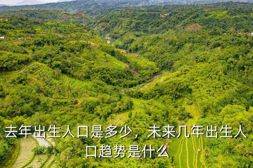 去年出生人口是多少，未來(lái)幾年出生人口趨勢(shì)是什么