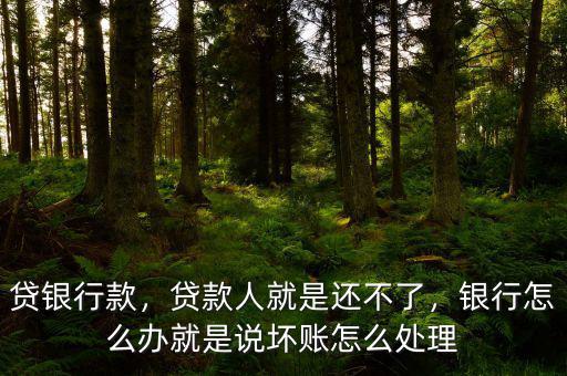 貸銀行款，貸款人就是還不了，銀行怎么辦就是說壞賬怎么處理