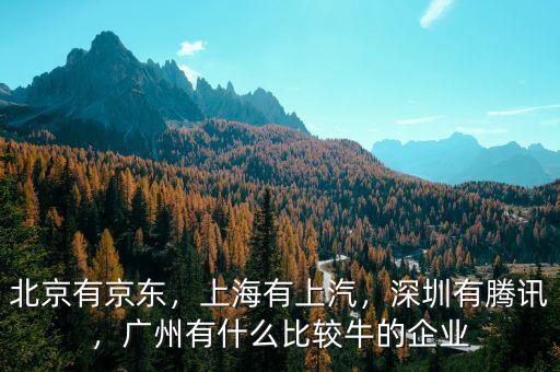 北京有京東，上海有上汽，深圳有騰訊，廣州有什么比較牛的企業(yè)