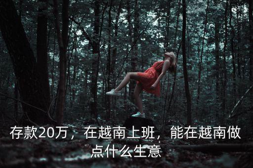 存款20萬，在越南上班，能在越南做點什么生意