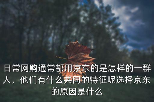 日常網(wǎng)購?fù)ǔ６加镁〇|的是怎樣的一群人，他們有什么共同的特征呢選擇京東的原因是什么