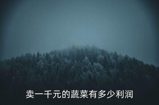 賣(mài)一千元的蔬菜有多少利潤(rùn)