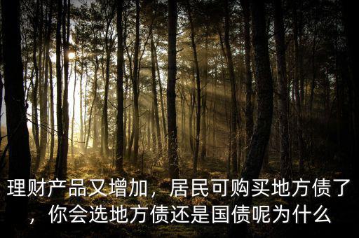 為什么地方債,居民可購買地方債了