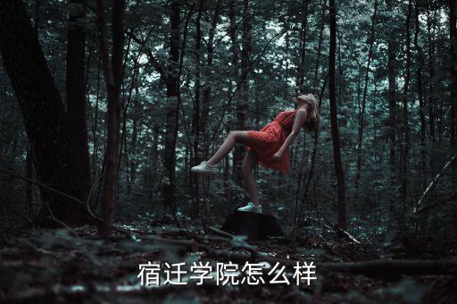 宿遷學(xué)院怎么樣