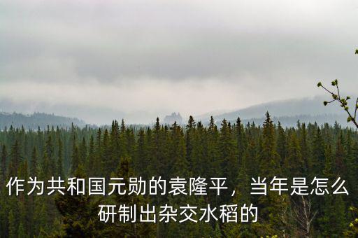 作為共和國(guó)元?jiǎng)椎脑∑剑?dāng)年是怎么研制出雜交水稻的