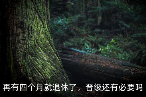 再有四個月就退休了，晉級還有必要嗎