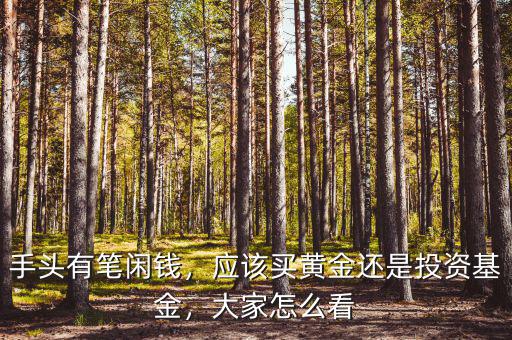 手頭有筆閑錢，應(yīng)該買黃金還是投資基金，大家怎么看