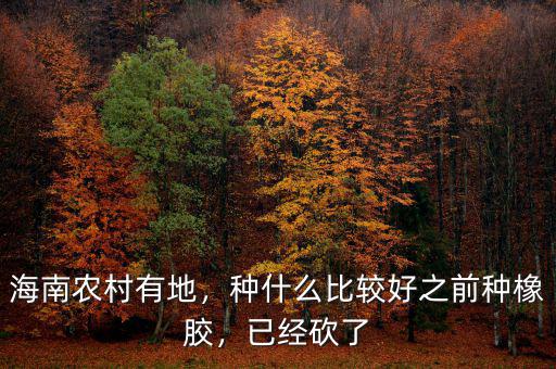 海南農(nóng)村有地，種什么比較好之前種橡膠，已經(jīng)砍了