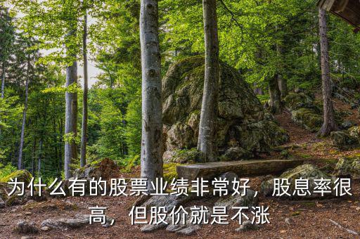 為什么有的股票業(yè)績非常好，股息率很高，但股價就是不漲