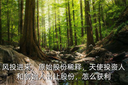 風投進來，原始股份稀釋，天使投資人和創(chuàng)始人出讓股份，怎么獲利