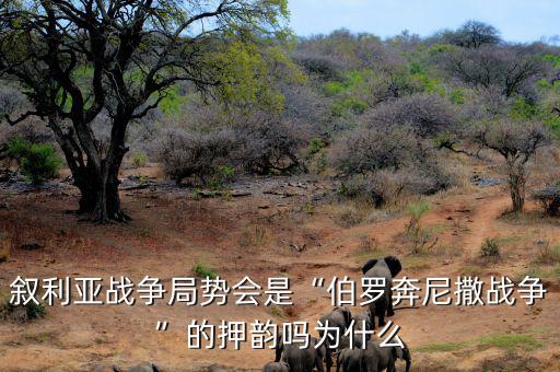 敘利亞戰(zhàn)爭怎么爆發(fā)的,敘利亞爆發(fā)內戰(zhàn)的原因是什么