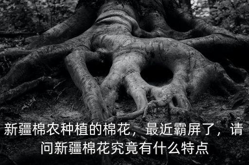 新疆棉農(nóng)種植的棉花，最近霸屏了，請(qǐng)問(wèn)新疆棉花究竟有什么特點(diǎn)