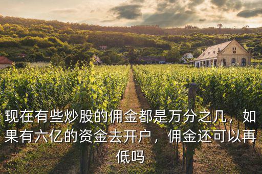 現(xiàn)在有些炒股的傭金都是萬分之幾，如果有六億的資金去開戶，傭金還可以再低嗎