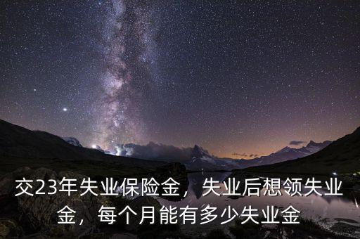 交23年失業(yè)保險(xiǎn)金，失業(yè)后想領(lǐng)失業(yè)金，每個(gè)月能有多少失業(yè)金