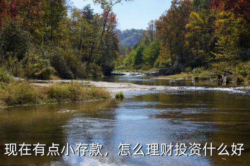 現(xiàn)在有點(diǎn)小存款，怎么理財(cái)投資什么好