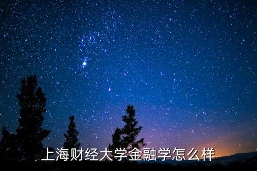 上海開利財經(jīng)怎么樣,上海財經(jīng)大學(xué)數(shù)學(xué)專業(yè)怎么樣
