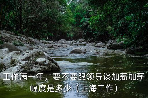 工作滿一年，要不要跟領(lǐng)導(dǎo)談加薪加薪幅度是多少（上海工作）