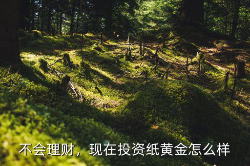 不會(huì)理財(cái)，現(xiàn)在投資紙黃金怎么樣