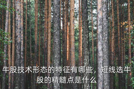 牛股技術(shù)形態(tài)的特征有哪些，短線選牛股的精髓點(diǎn)是什么
