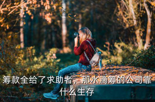 籌款全給了求助者，那水滴籌的公司靠什么生存