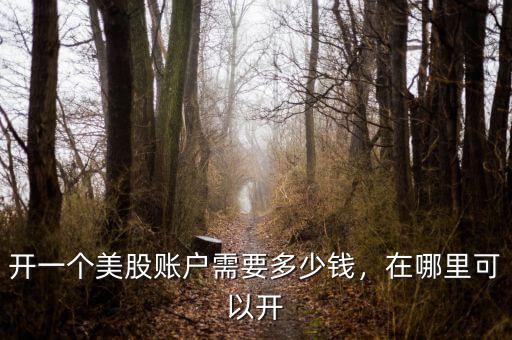 開一個美股賬戶需要多少錢，在哪里可以開