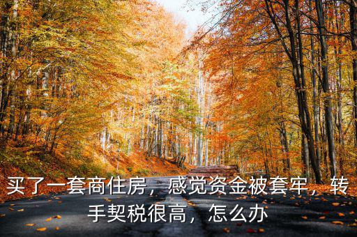 買了一套商住房，感覺(jué)資金被套牢，轉(zhuǎn)手契稅很高，怎么辦
