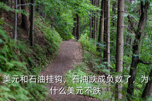 美元和石油掛鉤，石油跌成負(fù)數(shù)了，為什么美元不跌