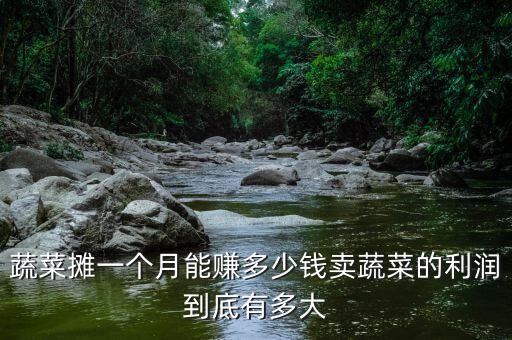 蔬菜攤一個(gè)月能賺多少錢(qián)賣(mài)蔬菜的利潤(rùn)到底有多大