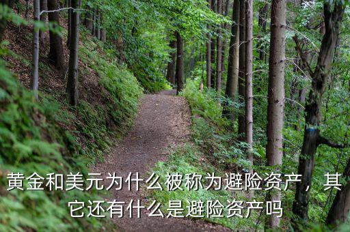 黃金和美元為什么被稱為避險資產(chǎn)，其它還有什么是避險資產(chǎn)嗎