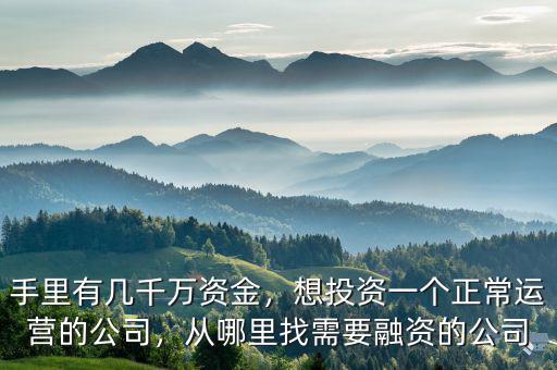 手里有幾千萬資金，想投資一個正常運營的公司，從哪里找需要融資的公司