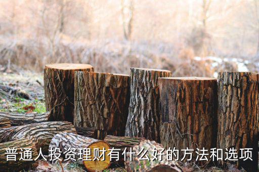 普通人投資理財(cái)有什么好的方法和選項(xiàng)