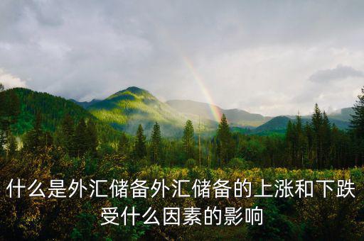 什么是外匯儲(chǔ)備外匯儲(chǔ)備的上漲和下跌受什么因素的影響