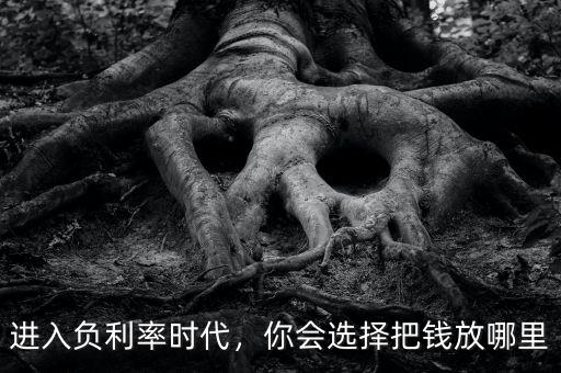 進(jìn)入負(fù)利率時(shí)代，你會(huì)選擇把錢放哪里