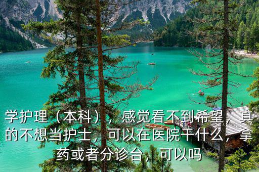 學(xué)護(hù)理（本科），感覺看不到希望，真的不想當(dāng)護(hù)士，可以在醫(yī)院干什么，拿藥或者分診臺(tái)，可以嗎