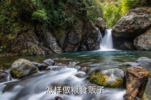 怎么找價(jià)格高的糧食販子,農(nóng)民種的糧食能賣給誰(shuí)