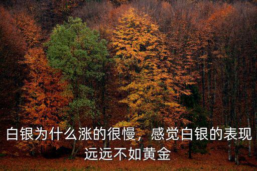 白銀為什么漲的很慢，感覺白銀的表現(xiàn)遠(yuǎn)遠(yuǎn)不如黃金