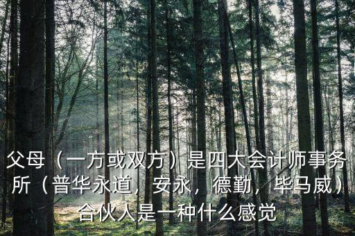父母（一方或雙方）是四大會(huì)計(jì)師事務(wù)所（普華永道，安永，德勤，畢馬威）合伙人是一種什么感覺