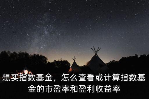 想買指數基金，怎么查看或計算指數基金的市盈率和盈利收益率