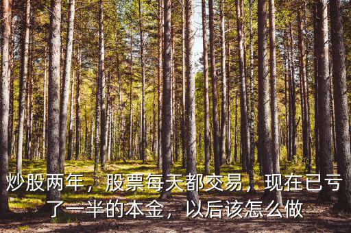 炒股兩年，股票每天都交易，現(xiàn)在已虧了一半的本金，以后該怎么做