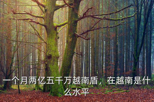 一個月兩億五千萬越南盾，在越南是什么水平