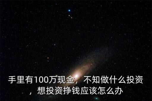 手里有100萬現(xiàn)金，不知做什么投資，想投資掙錢應(yīng)該怎么辦
