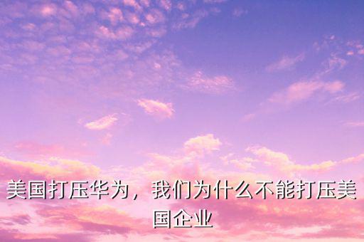美國打壓華為，我們?yōu)槭裁床荒艽驂好绹髽I(yè)