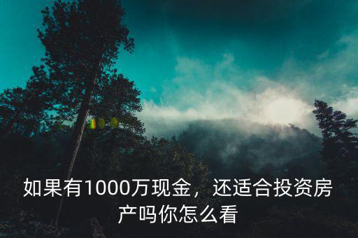 有1000萬(wàn)怎么投資,如果有1000萬(wàn)