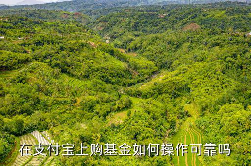怎么用支付寶買(mǎi)基金,在支付寶上買(mǎi)基金怎么去操作