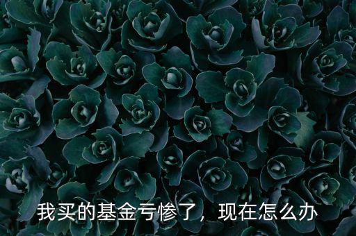 我買的基金虧慘了，現(xiàn)在怎么辦