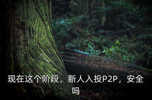 現(xiàn)在這個階段，新人入投P2P，安全嗎