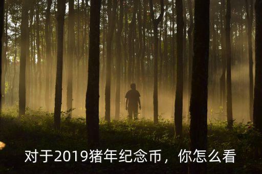 對于2019豬年紀念幣，你怎么看