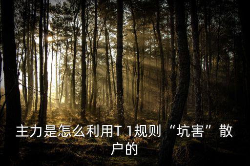 期貨主力怎么玩散戶,散戶玩期貨會是怎樣的結果