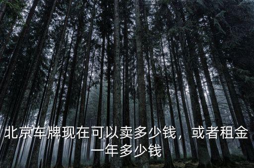北京車(chē)牌現(xiàn)在可以賣(mài)多少錢(qián)，或者租金一年多少錢(qián)